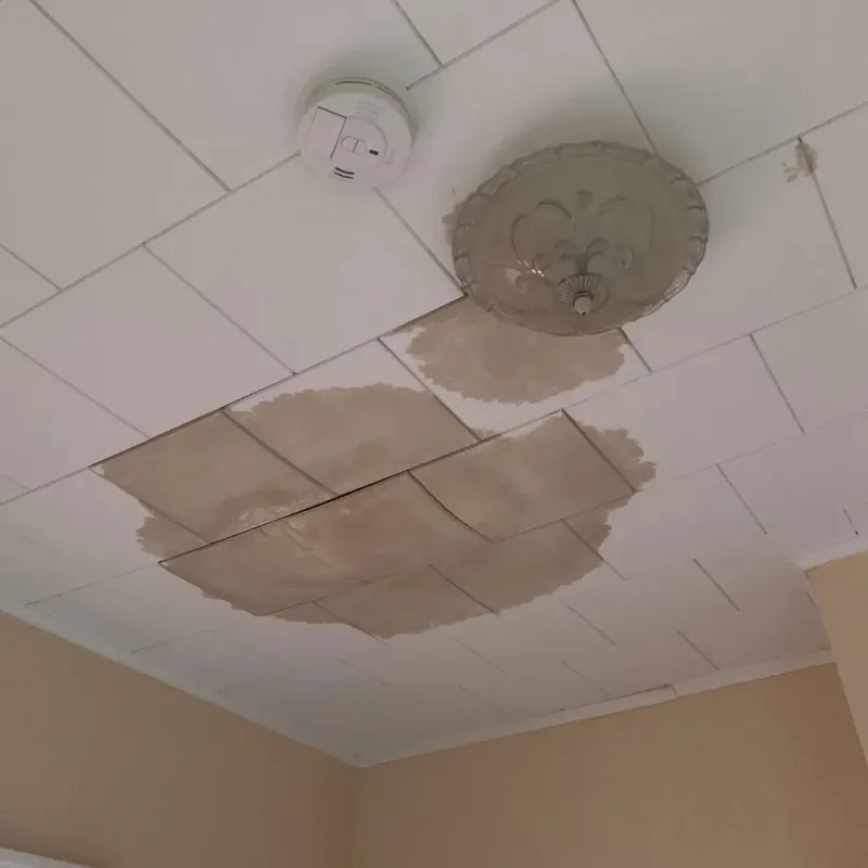 Ceiling Water Damage Repair in Emmons County, ND
