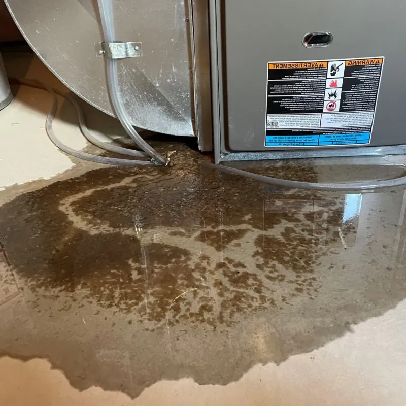 Pipe Burst and Leak Restoration in Emmons County, ND