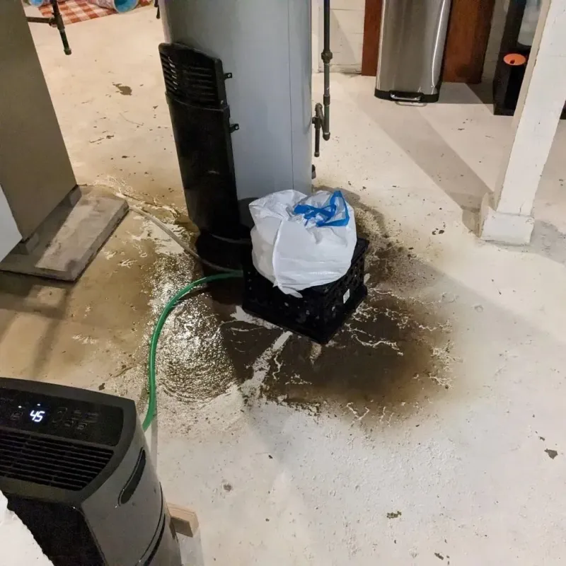 Sewage Backup Cleanup Service in Emmons County, ND